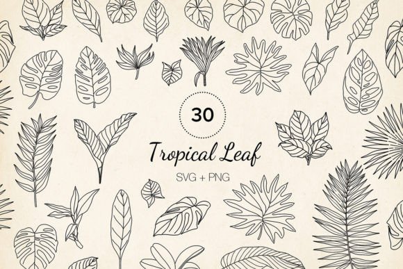 30 Hand-drawn Tropical Leaf SVG Clipart: Graphics & Illustrations